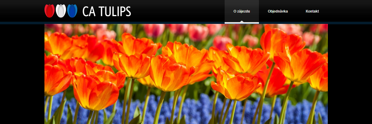 Cestovní agentura CA Tulips