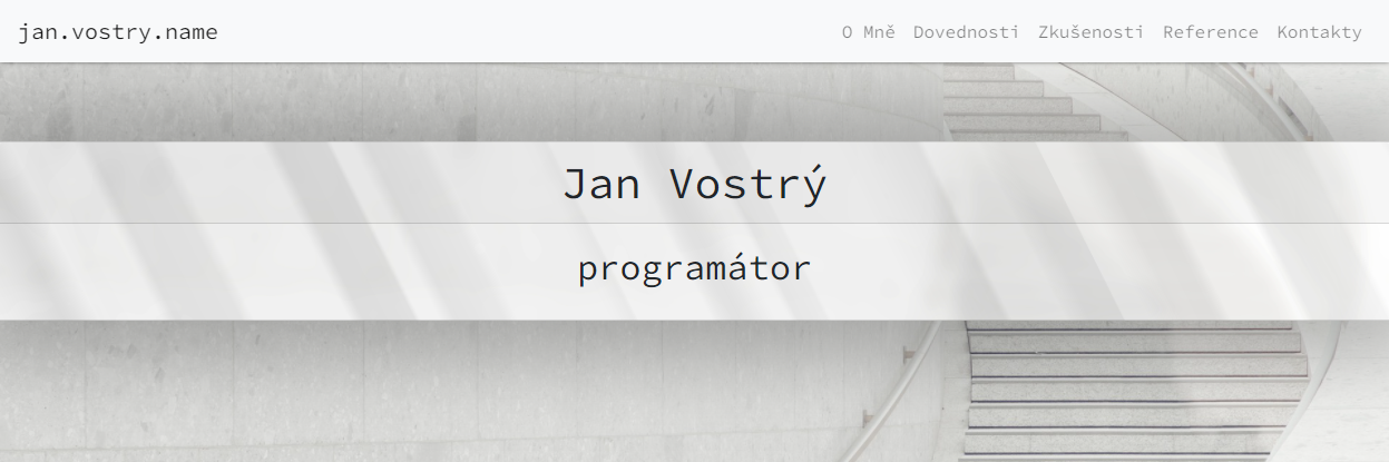 Profesní prezentace